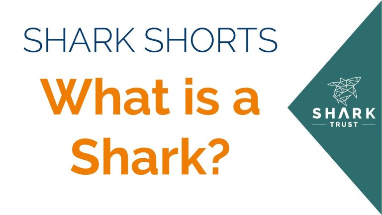 Picture of Shark Shorts post.