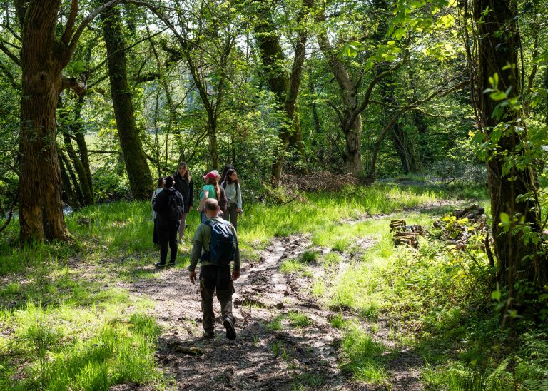 Picture of Wellbeing in Nature for Business post.